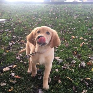 Meet your Posher, Mark